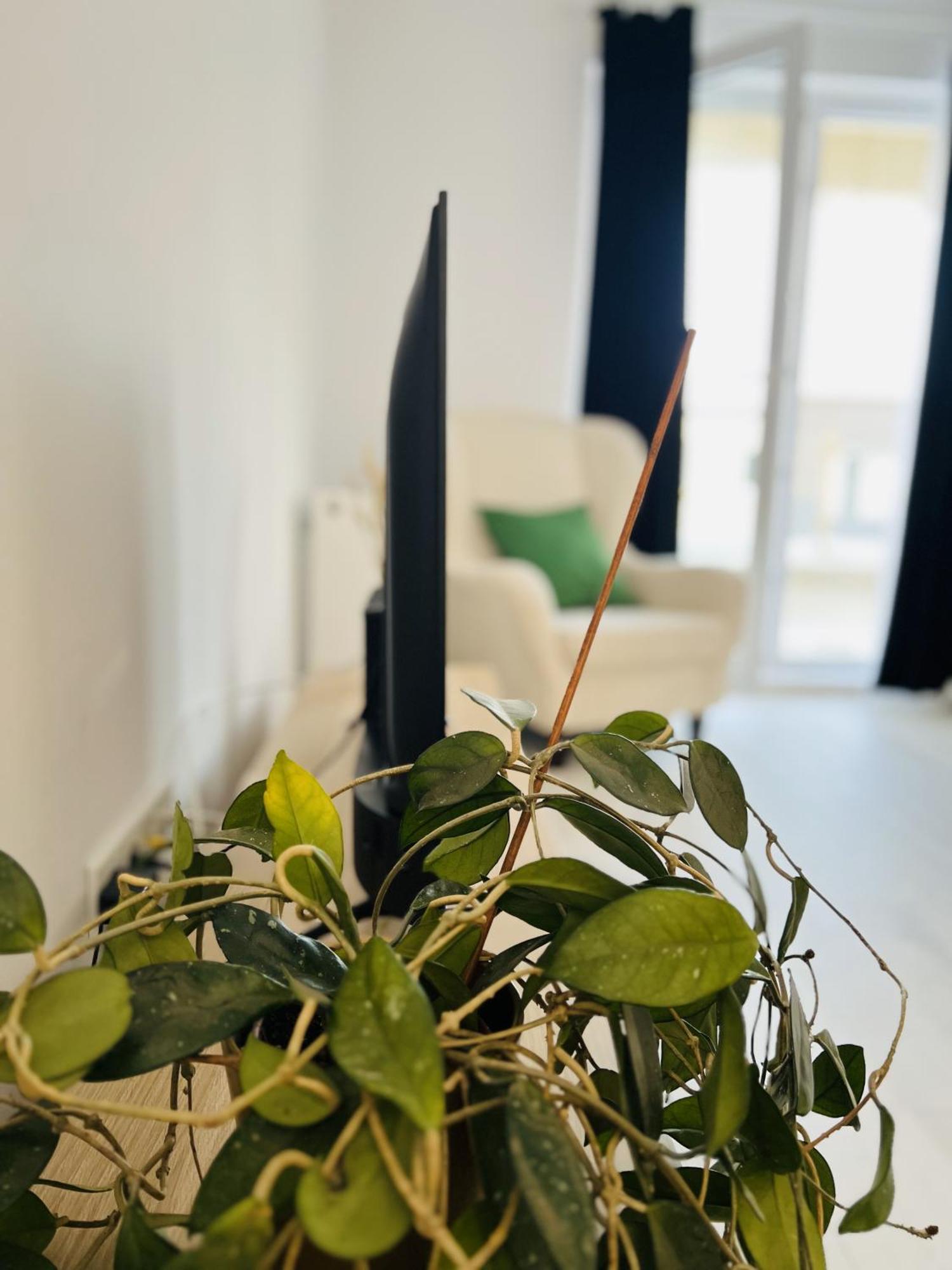 Apartamento Airport Gardens Loft Otopeni Exterior foto